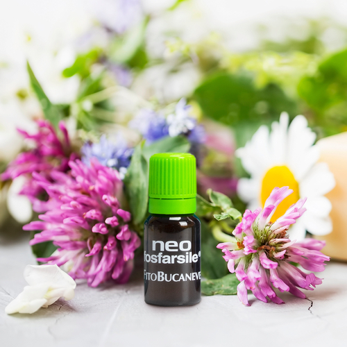 Integratori Concentrati